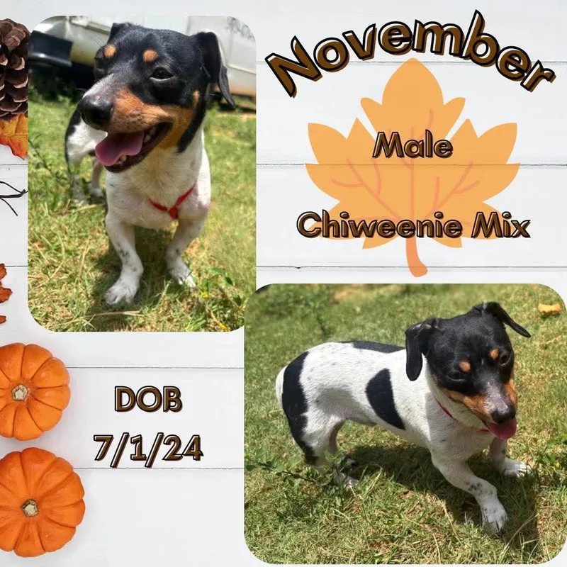 November