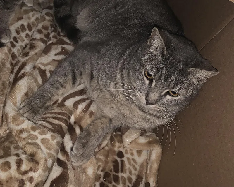 Molly & Madeline Spring thumbnail 2