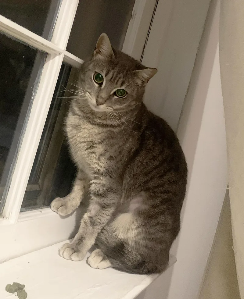 Molly & Madeline Spring thumbnail 3