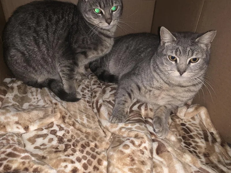 Molly & Madeline Spring thumbnail 4