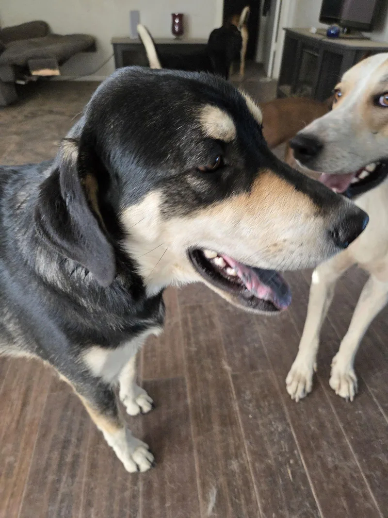 Michelle thumbnail 2