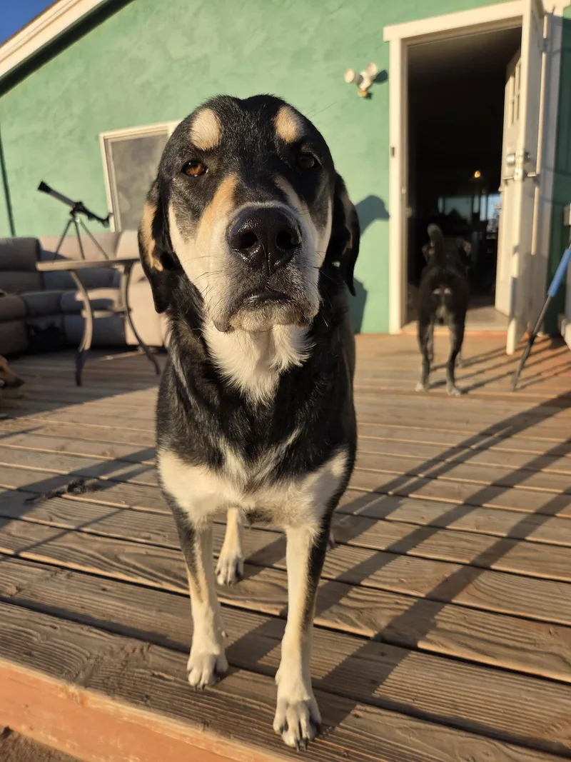 Michelle thumbnail 3