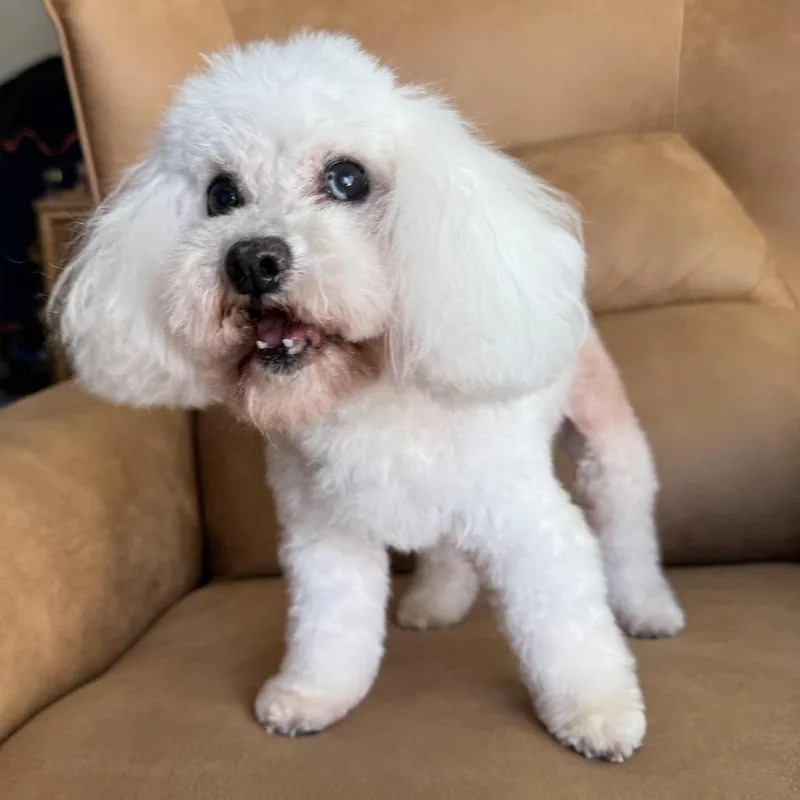 Dolores Landingham thumbnail 2