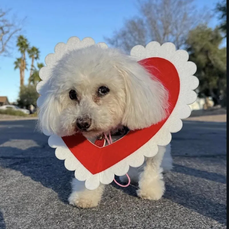 Dolores Landingham thumbnail 3