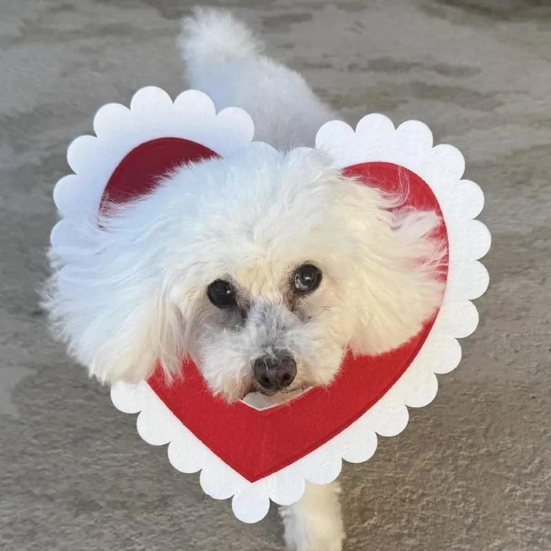 Dolores Landingham thumbnail 5