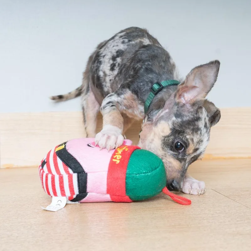 Mudpie D thumbnail 2