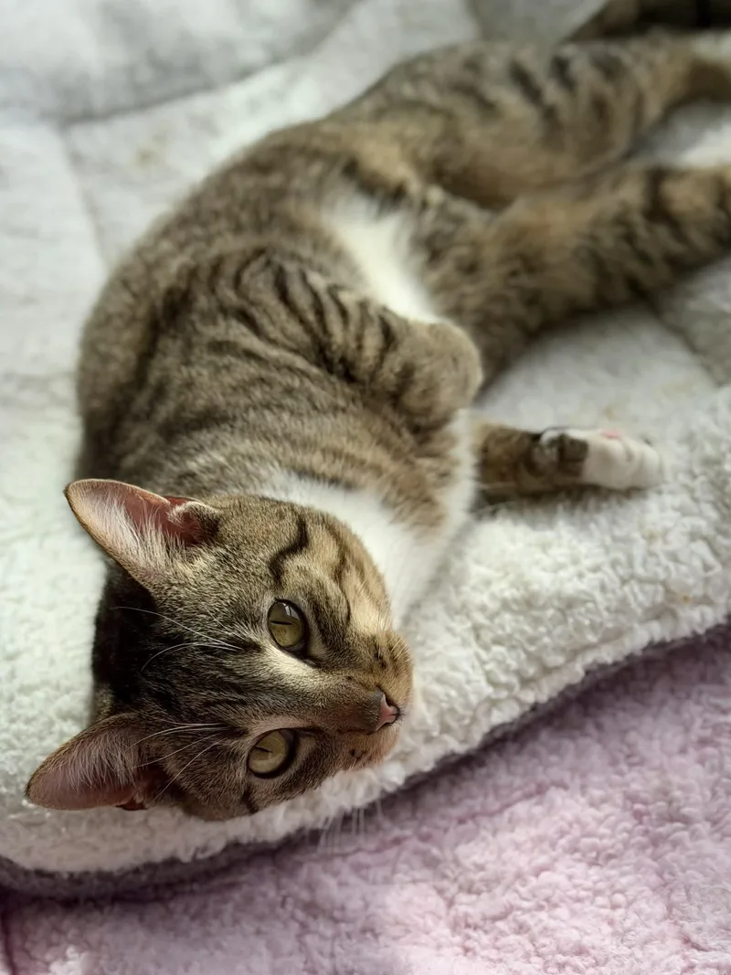 John Is Such A thumbnail 2