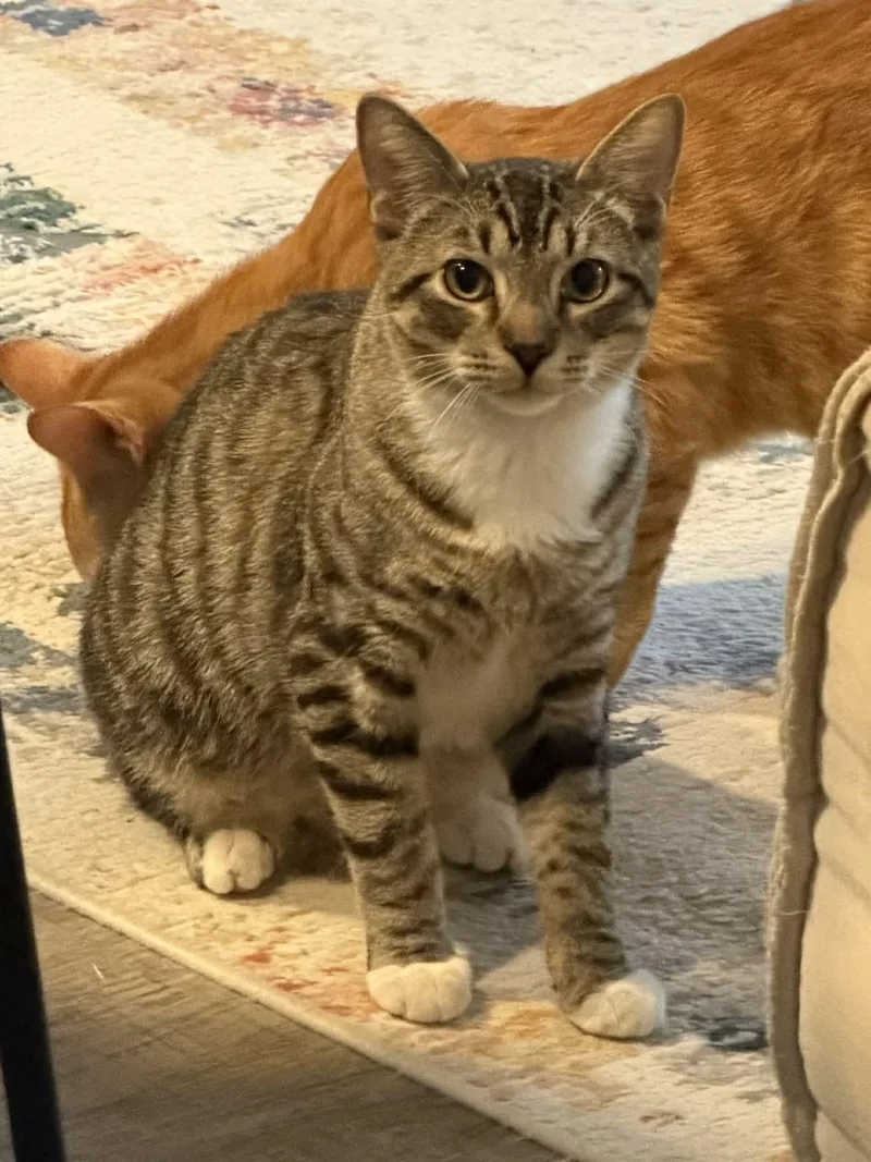 John Is Such A thumbnail 3