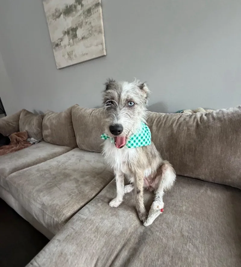 Oakley thumbnail 5
