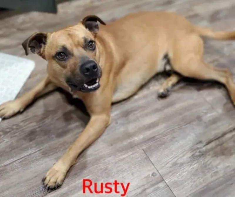 Rusty thumbnail 2