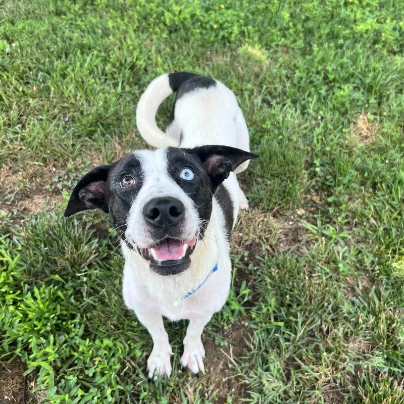 Superwomen thumbnail 3