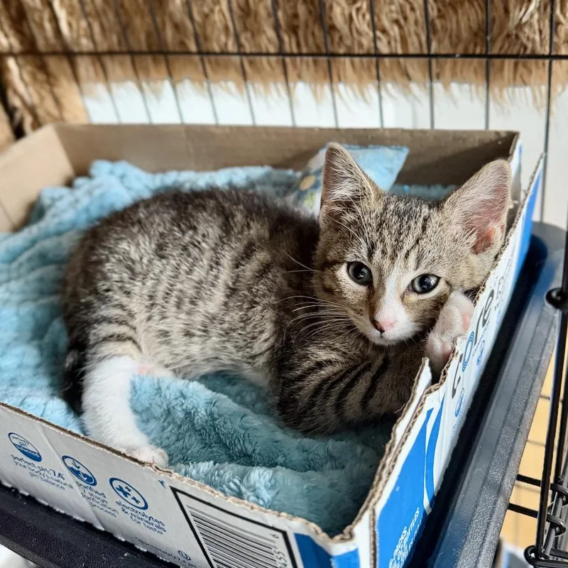 Jetty thumbnail 5