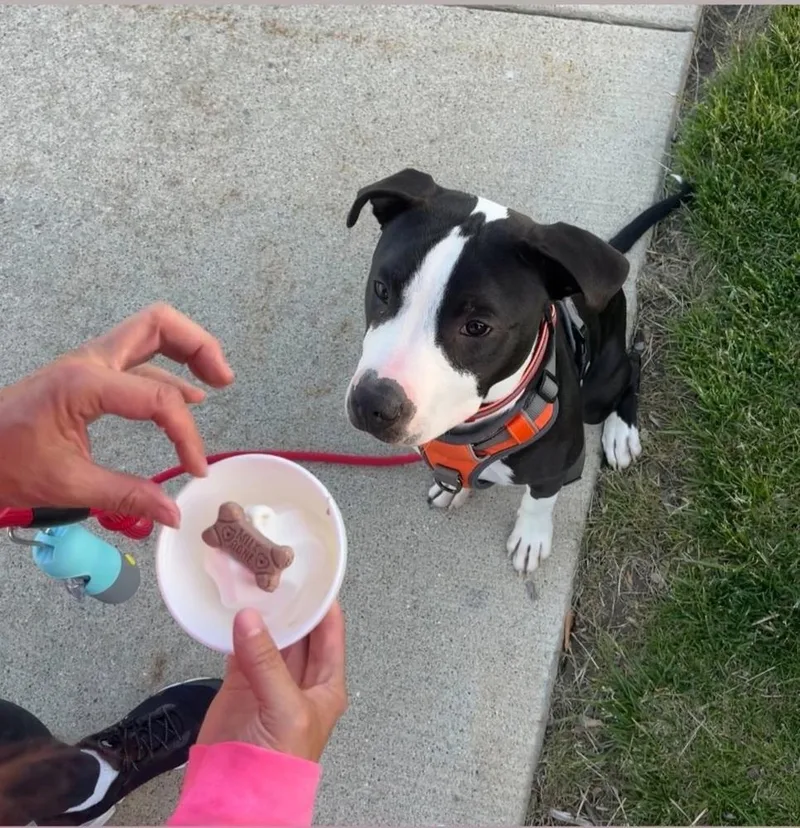 Ferdinand thumbnail 2