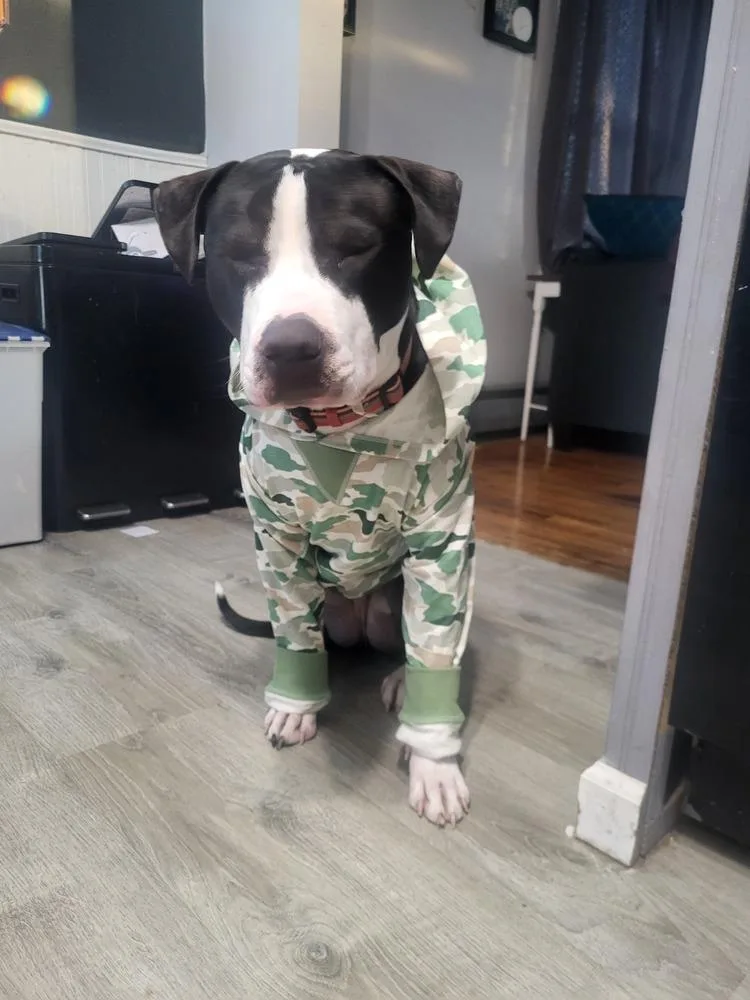 Ferdinand thumbnail 3