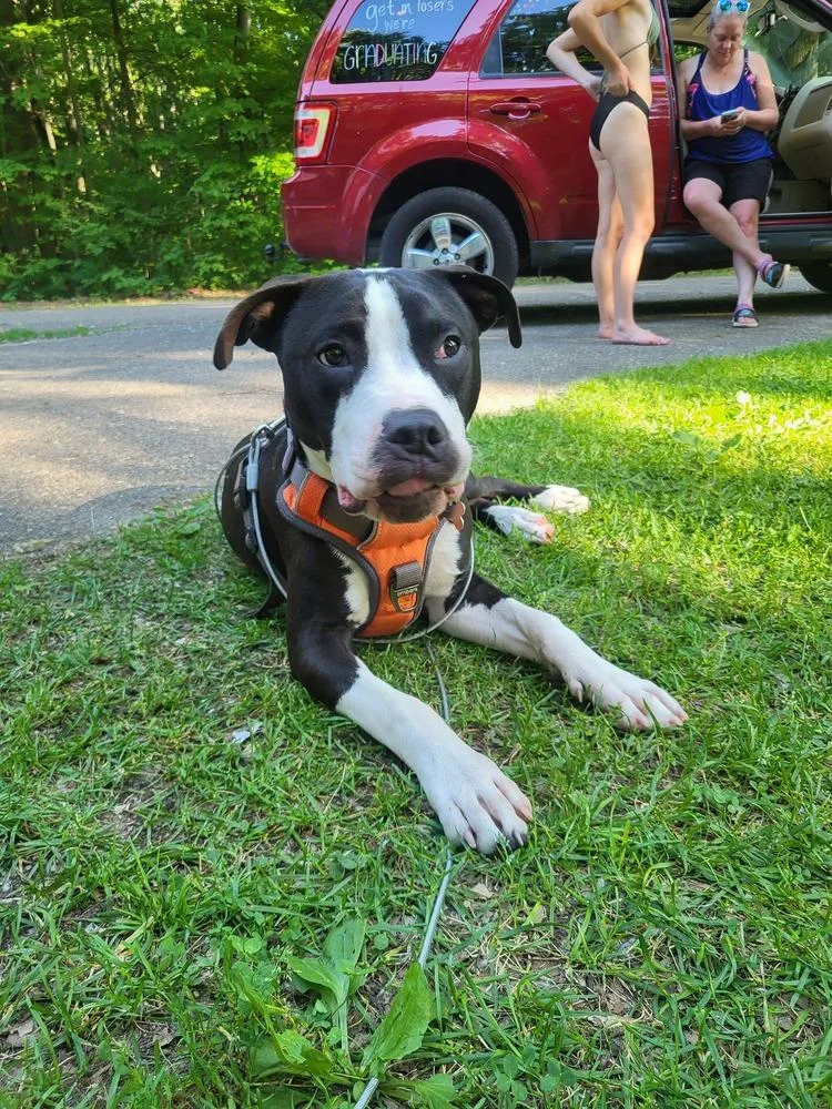 Ferdinand thumbnail 6