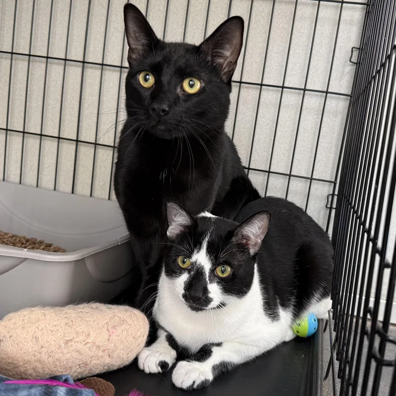 Walter & Rupert thumbnail 2