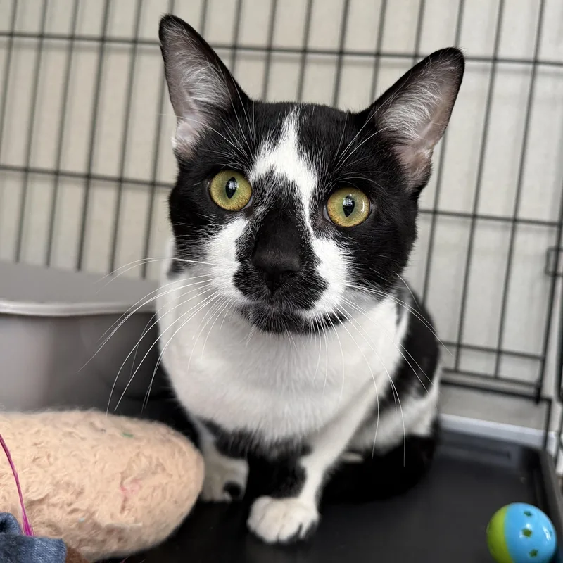 Walter & Rupert thumbnail 3