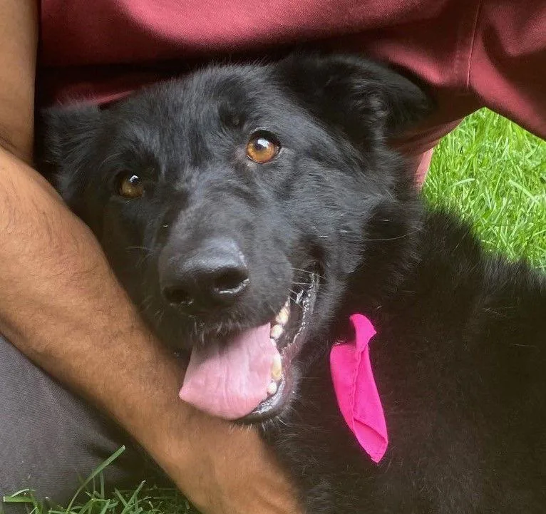 Nezhonic thumbnail 2