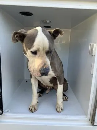 Barbados thumbnail 2