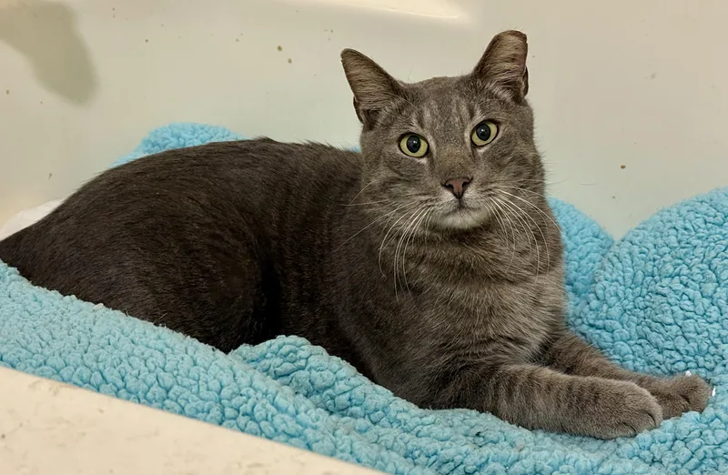 Lloyd & Larry thumbnail 4