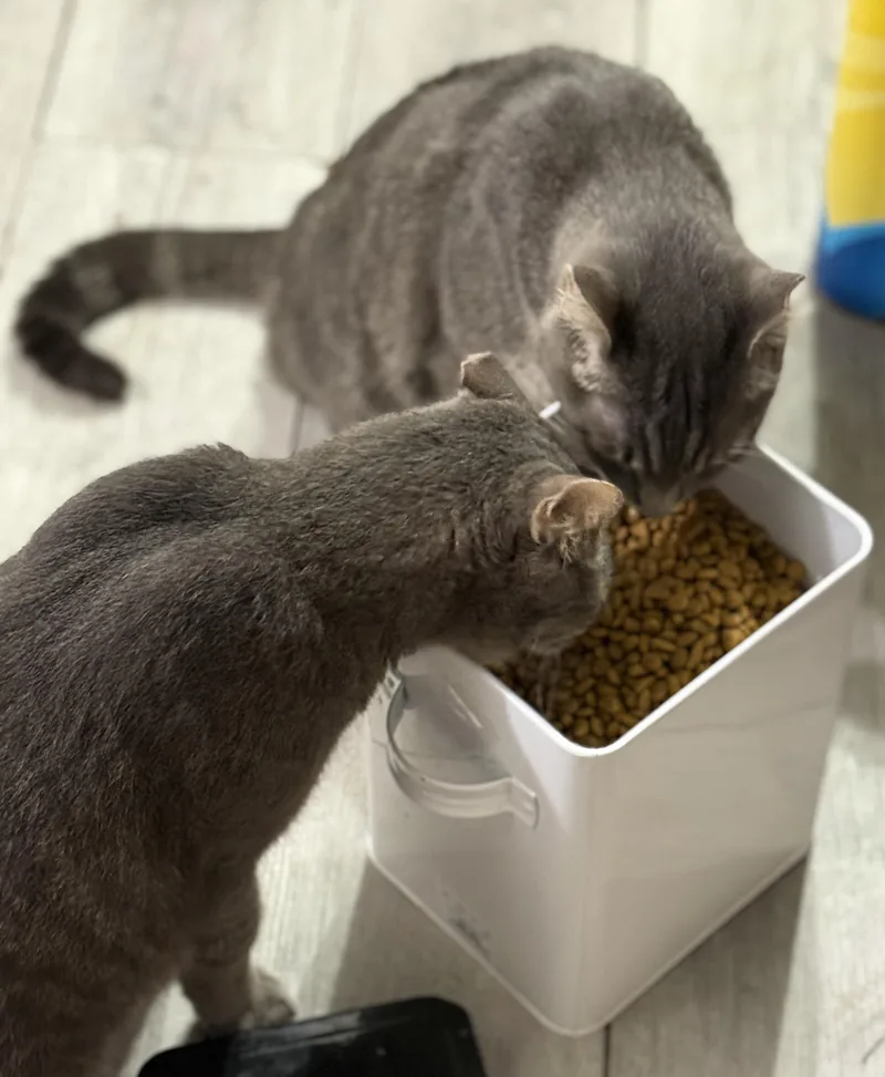 Lloyd & Larry thumbnail 5