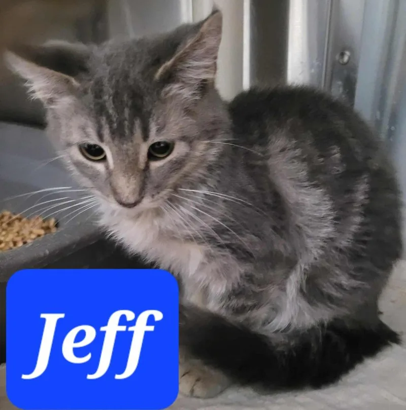 Jeff thumbnail 2