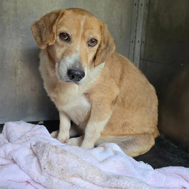 Deedee D thumbnail 2