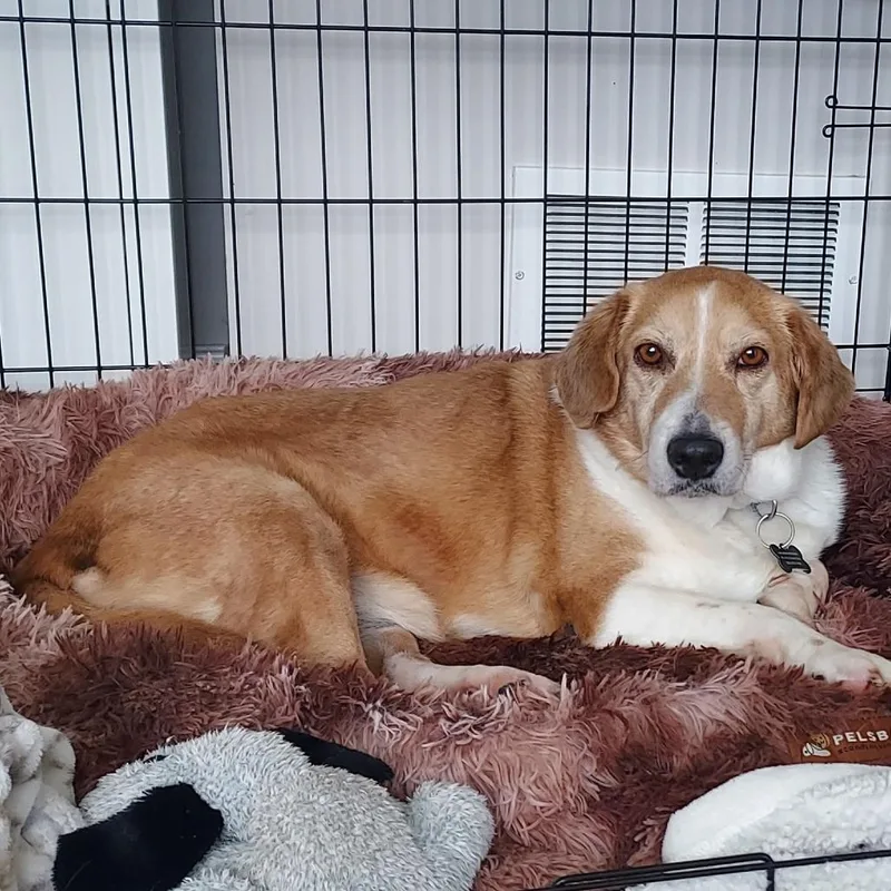 Deedee D thumbnail 3