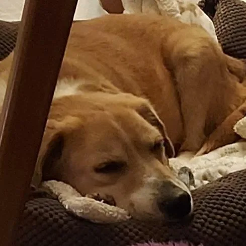 Deedee D thumbnail 4