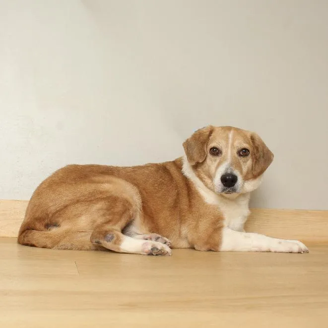 Deedee D thumbnail 5