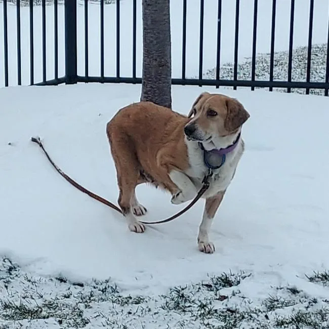 Deedee D thumbnail 6