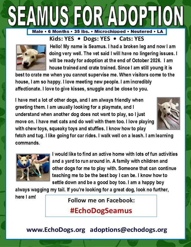 Seamus thumbnail 3