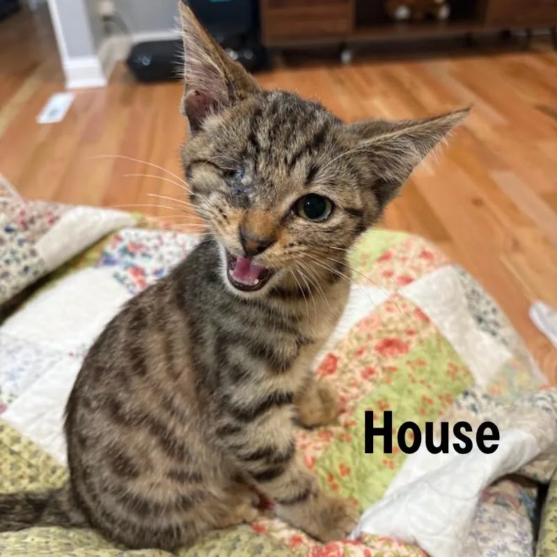 House thumbnail 2