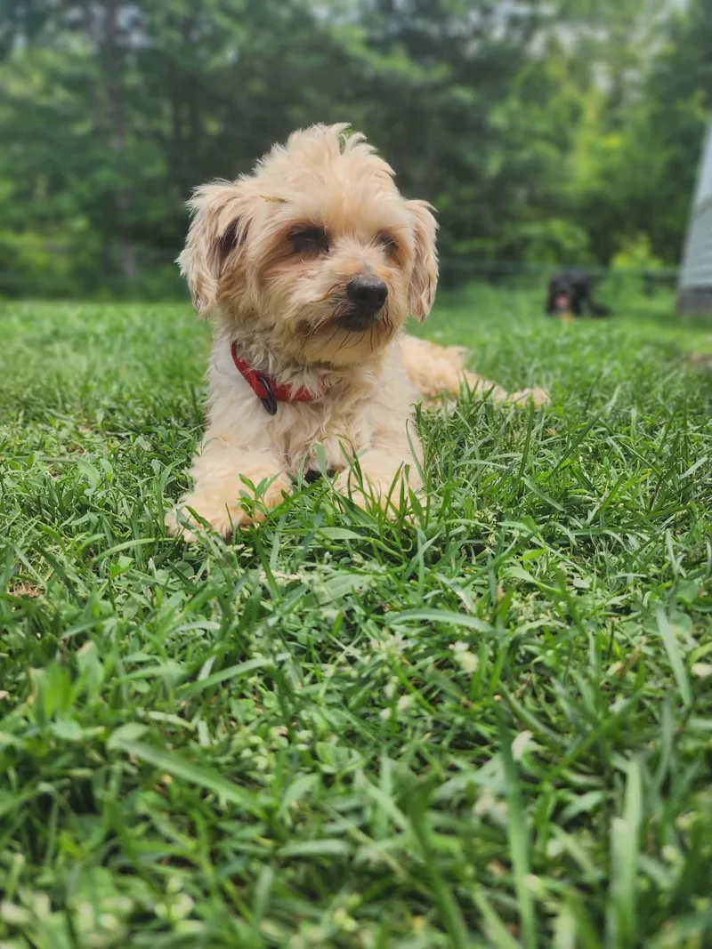 Gabby