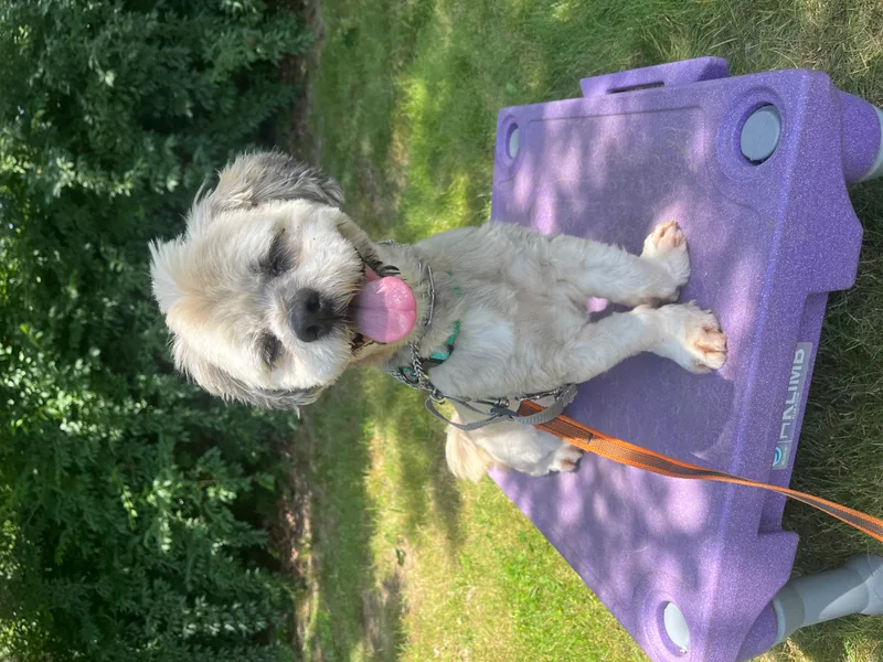 Rocky Long Island thumbnail 3