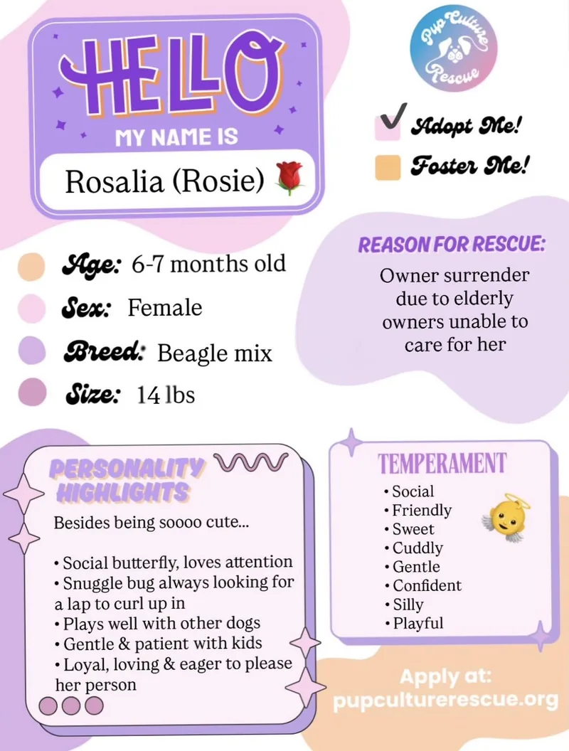 Rosalia thumbnail 2