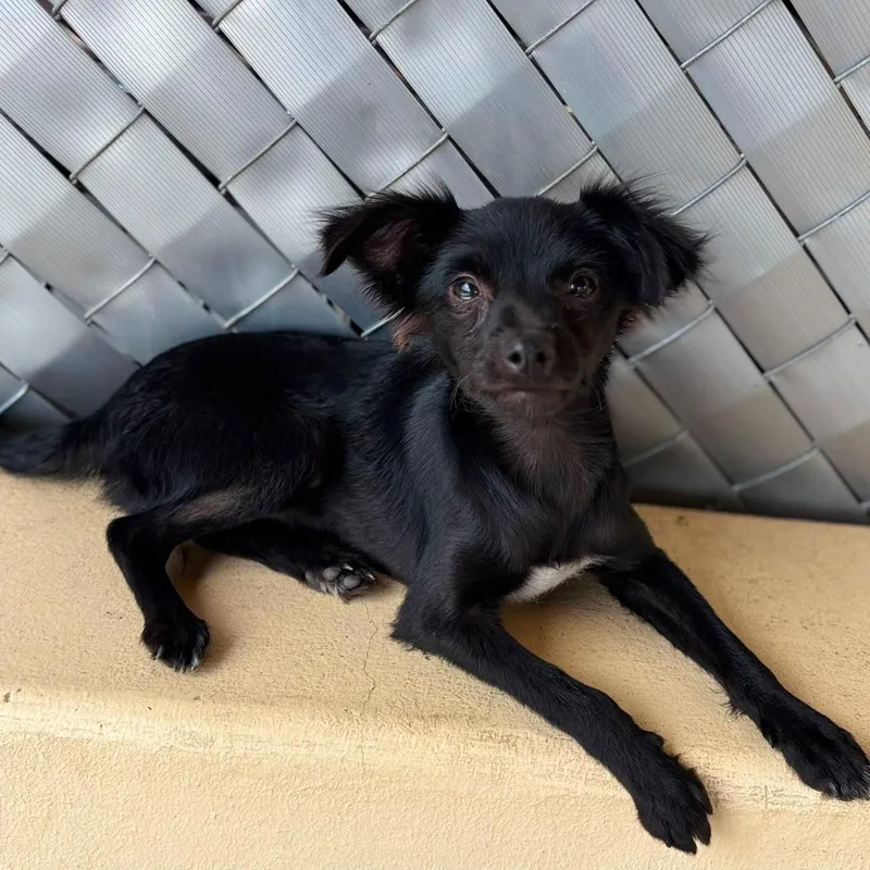 Demi thumbnail 2