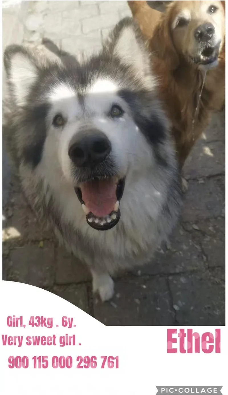 China Ethel thumbnail 2