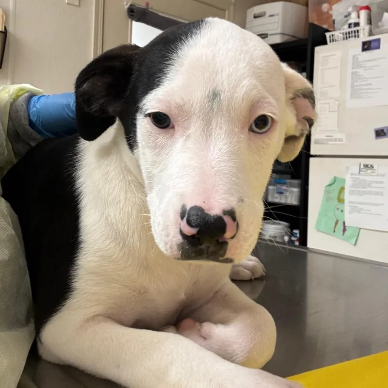 Selena Gomez thumbnail 2