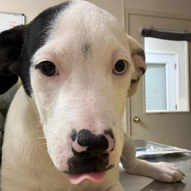 Selena Gomez thumbnail 3