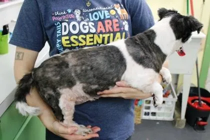 Ms Priss thumbnail 2