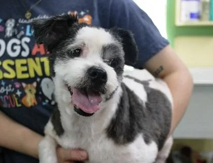 Ms Priss thumbnail 3