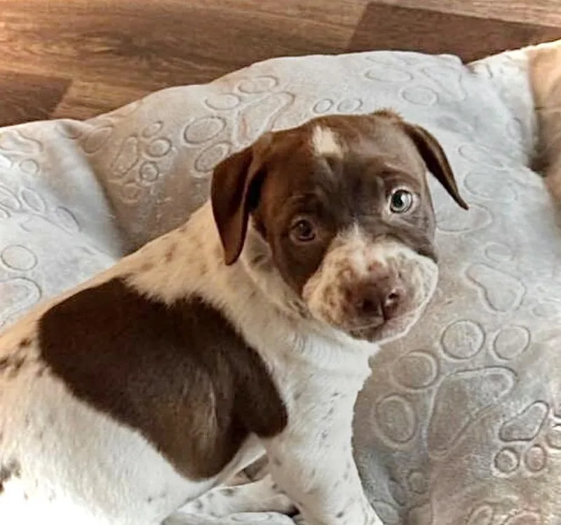 Jax Sunshine thumbnail 2