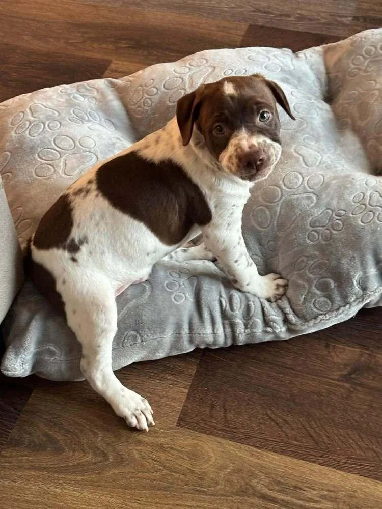 Jax Sunshine thumbnail 3