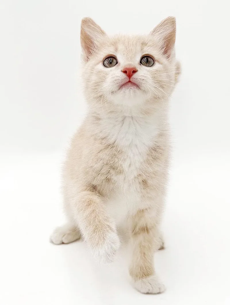 Parker is a POOFY thumbnail 2