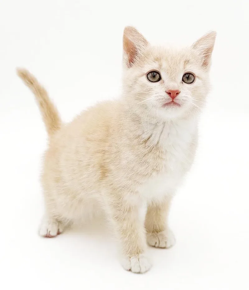 Parker is a POOFY thumbnail 4