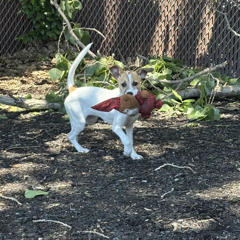 Maggie