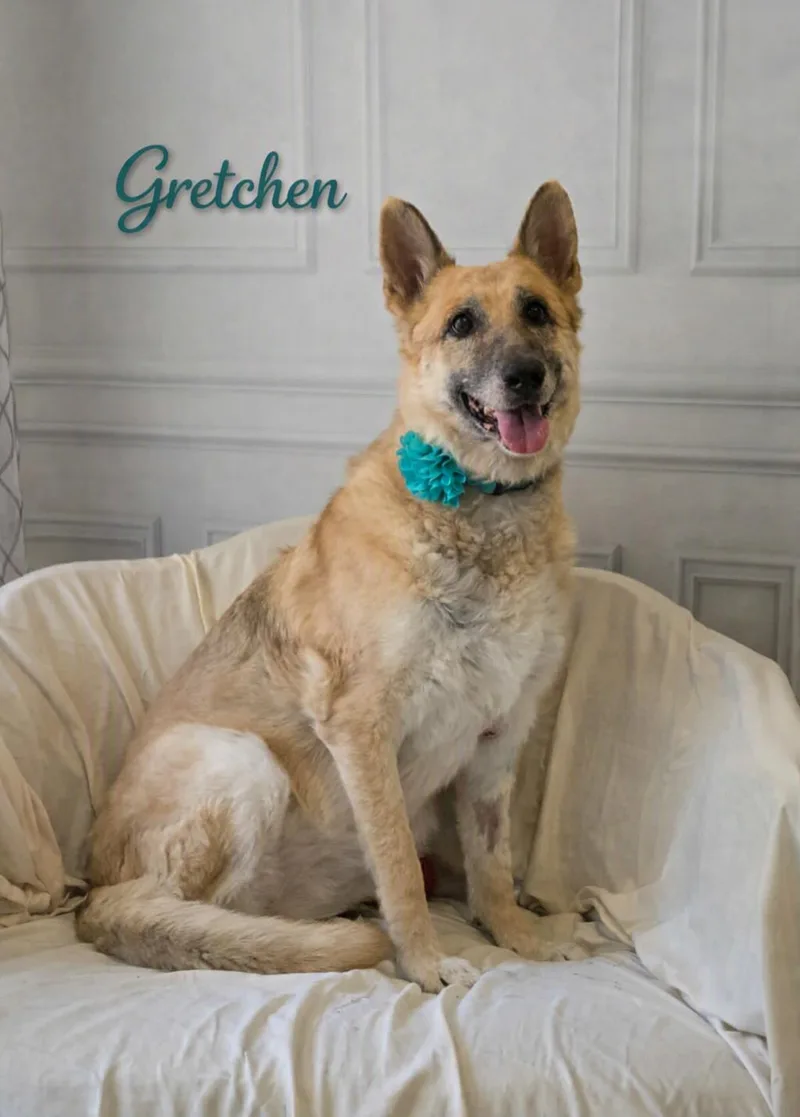 Gretchen thumbnail 2