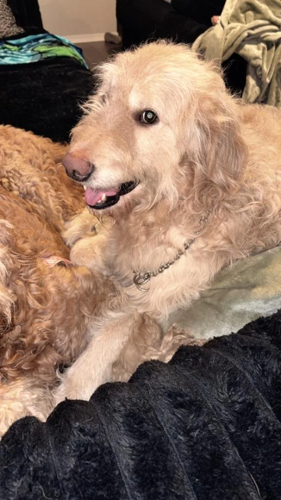 Max
