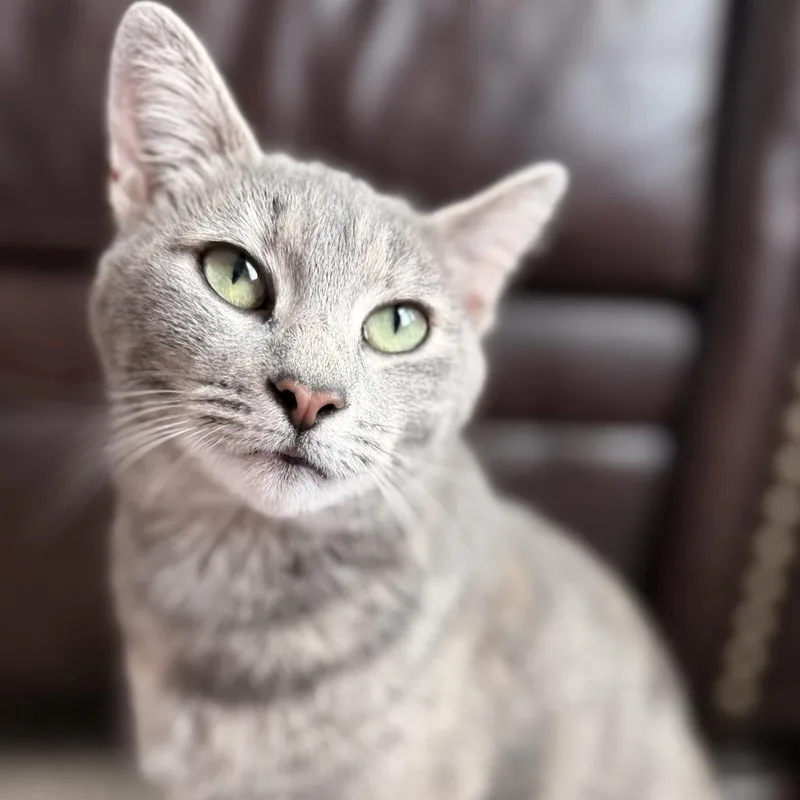Zoey thumbnail 3